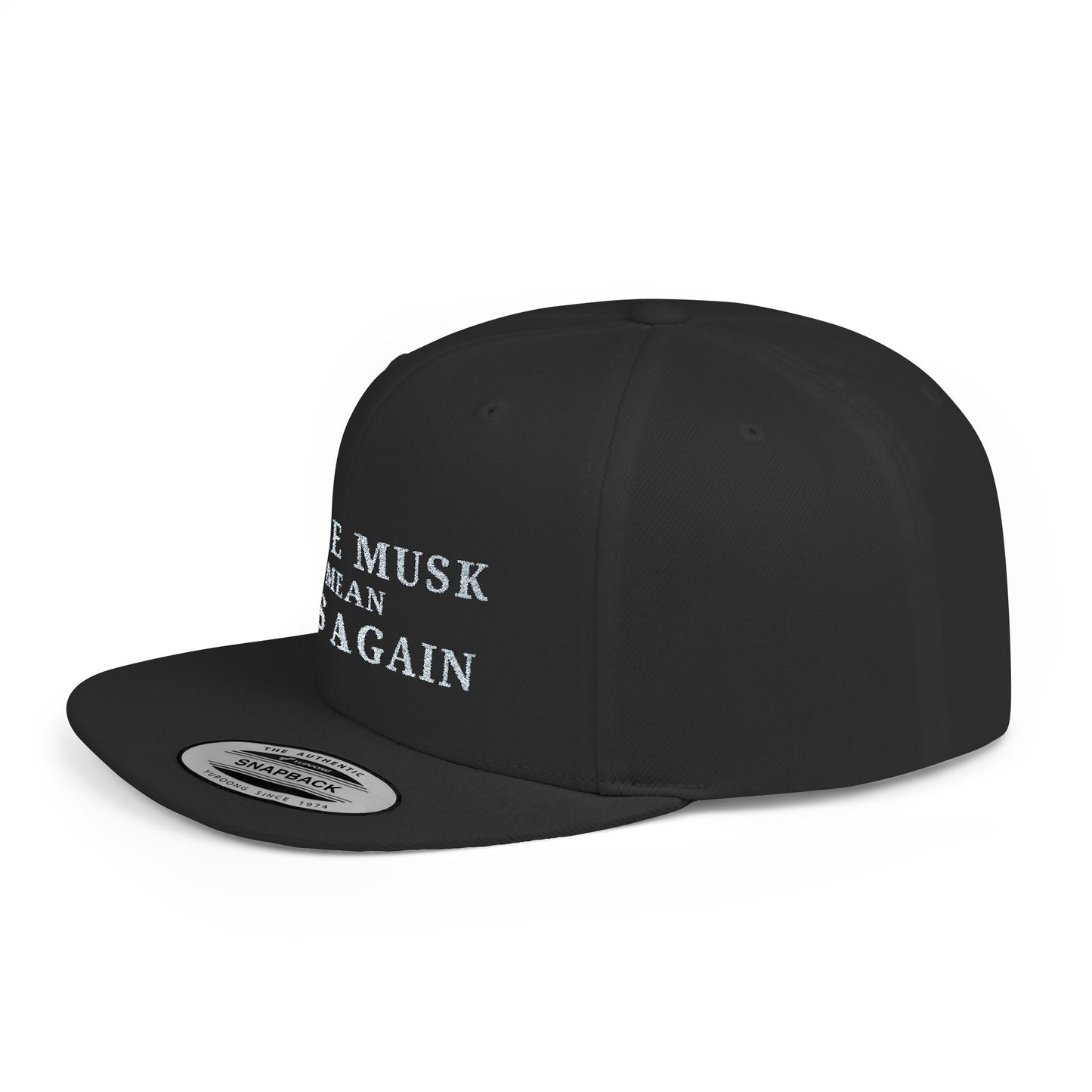 Make Musk Mean Pits Again - Protest Hat