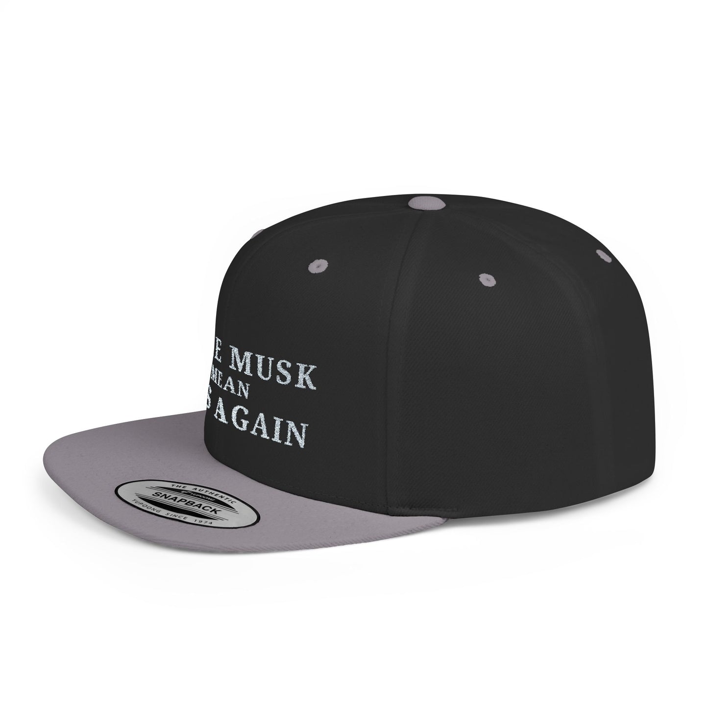 Make Musk Mean Pits Again - Protest Hat