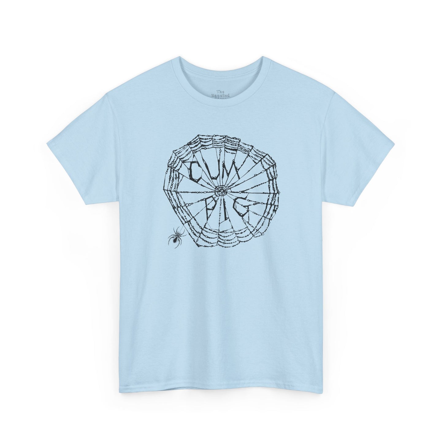Some Pig Parody Spiderweb Tee — Filthy Wordplay Graphic Shirt