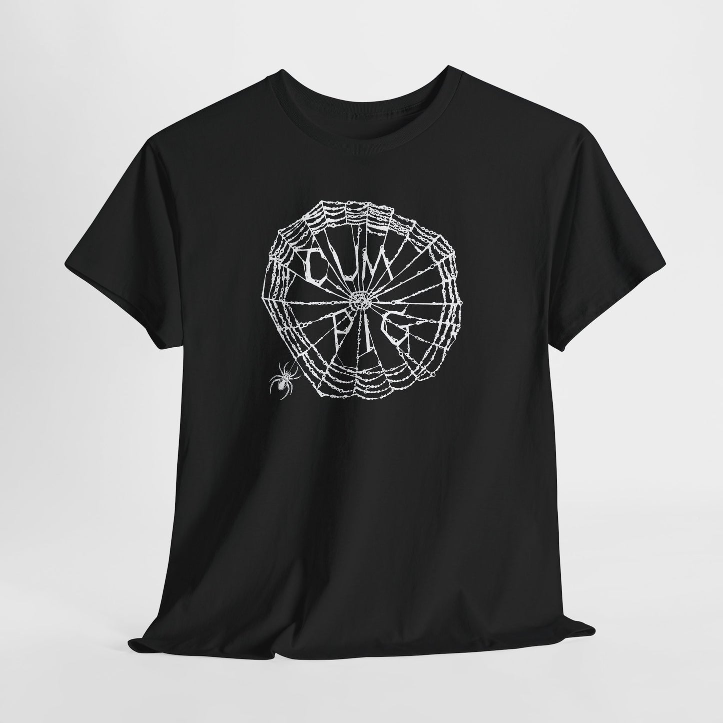 Some Pig Parody Spiderweb Tee — Filthy Wordplay Graphic Shirt