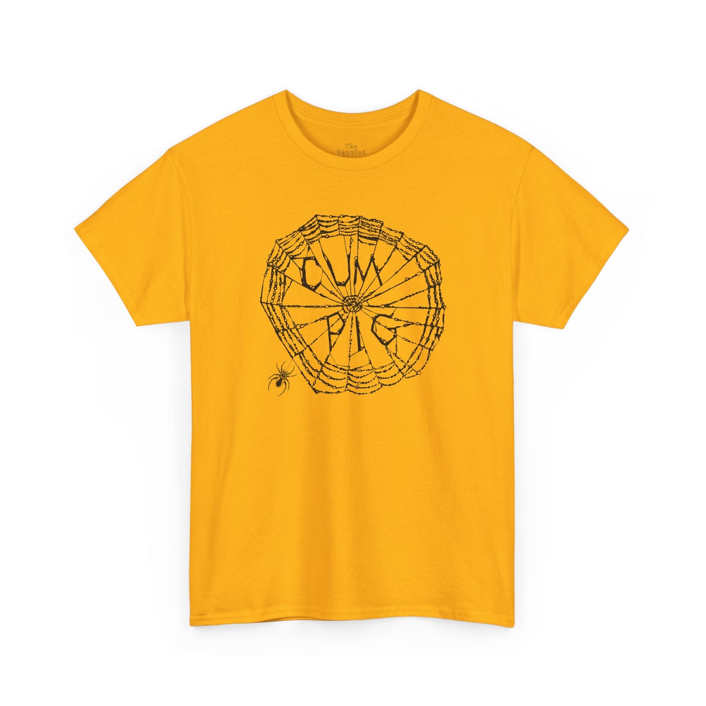 Some Pig Parody Spiderweb Tee — Filthy Wordplay Graphic Shirt