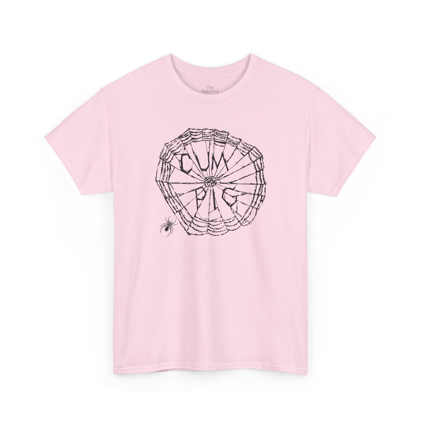 Some Pig Parody Spiderweb Tee — Filthy Wordplay Graphic Shirt