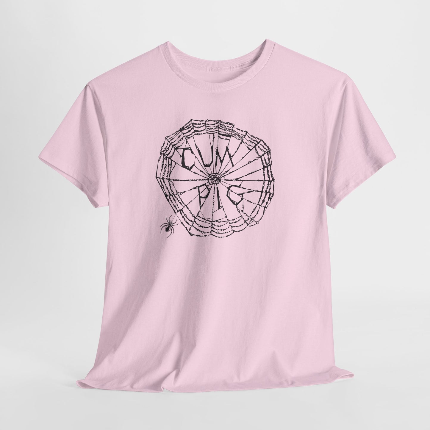 Some Pig Parody Spiderweb Tee — Filthy Wordplay Graphic Shirt