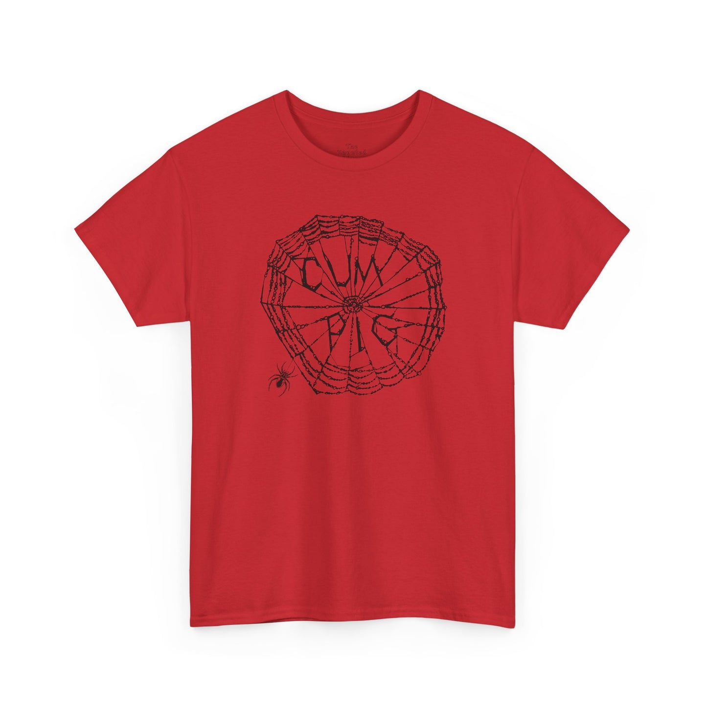 Some Pig Parody Spiderweb Tee — Filthy Wordplay Graphic Shirt