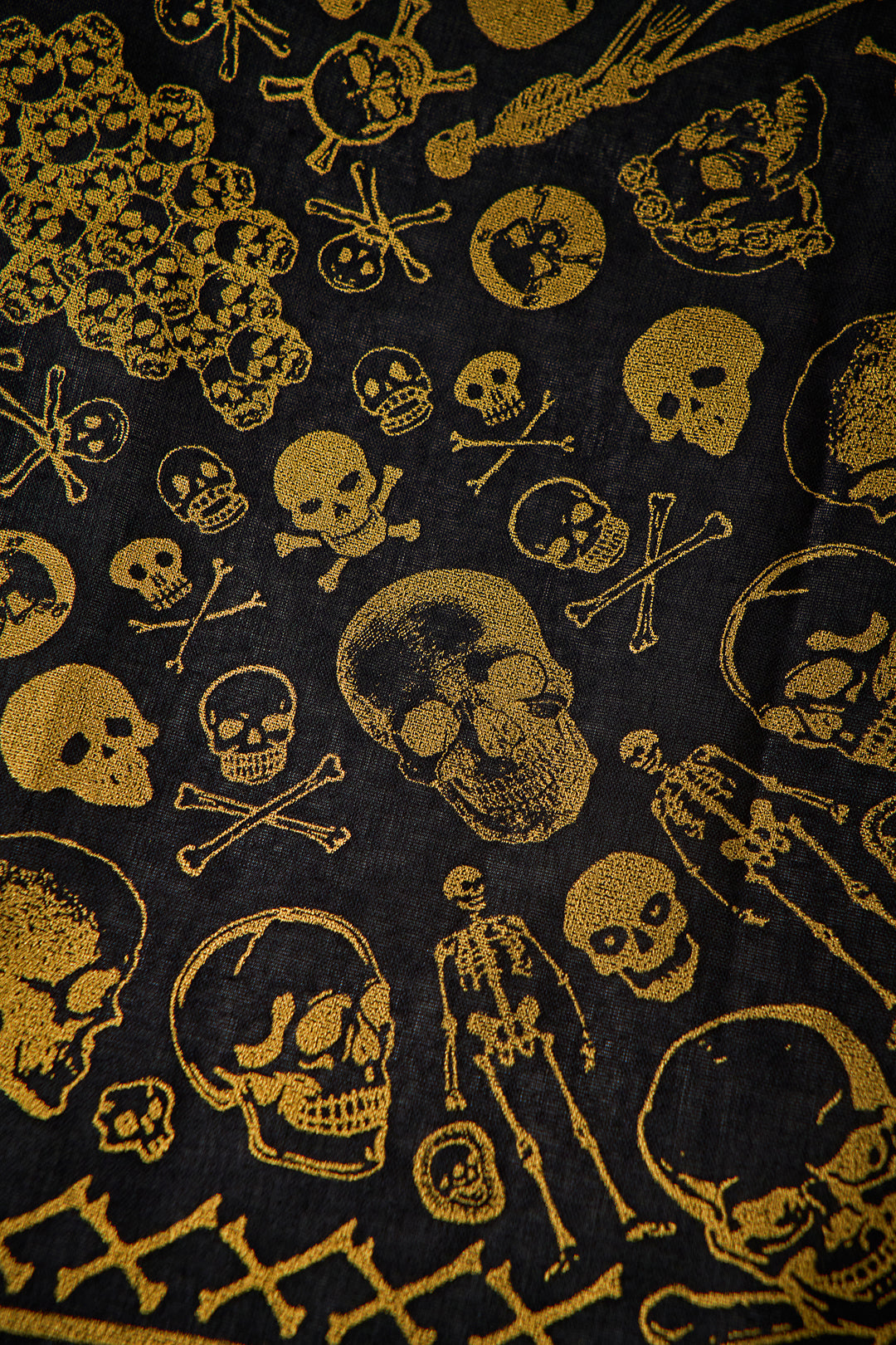 Skulls Bandana