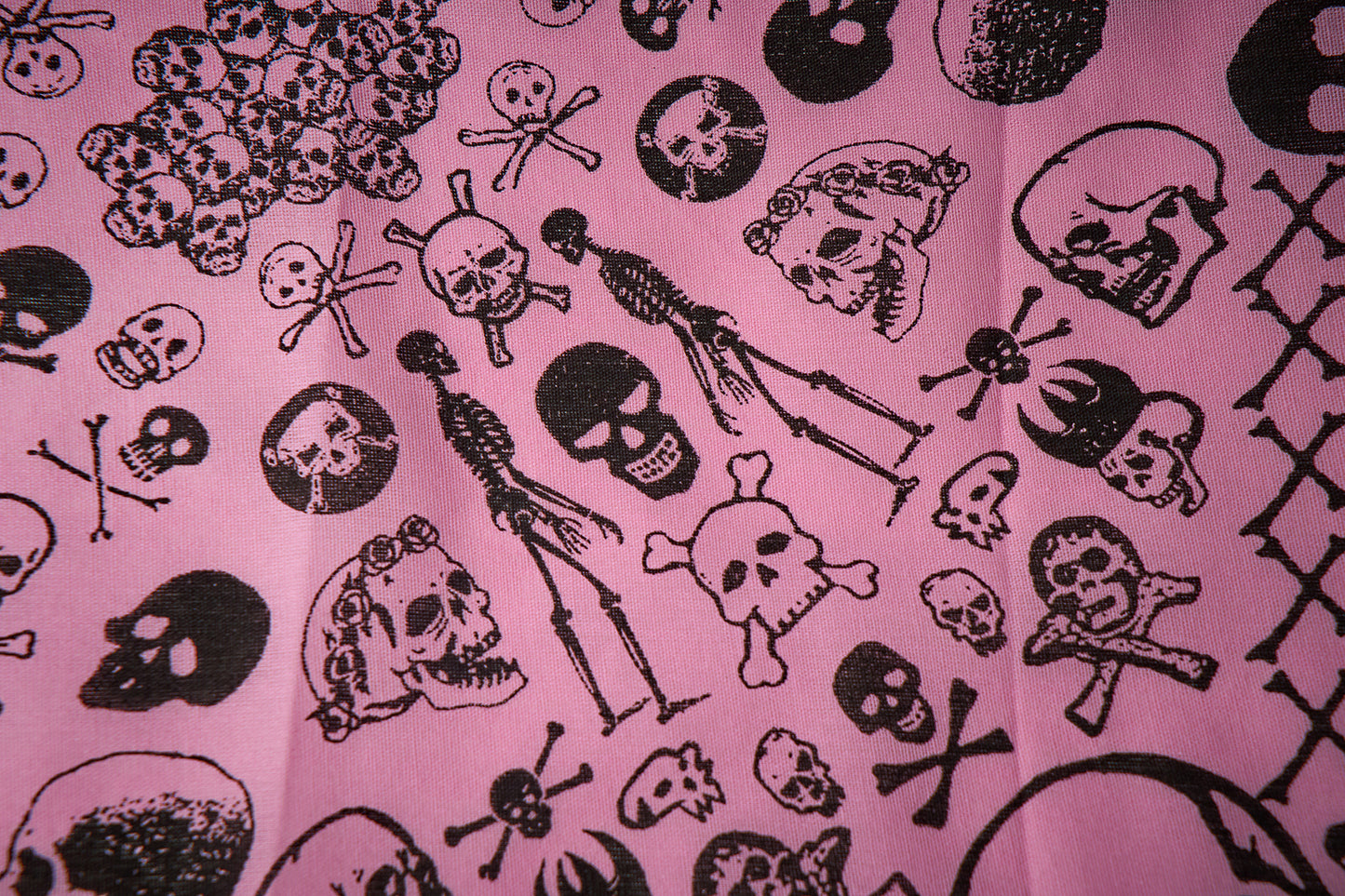 Skulls Bandana