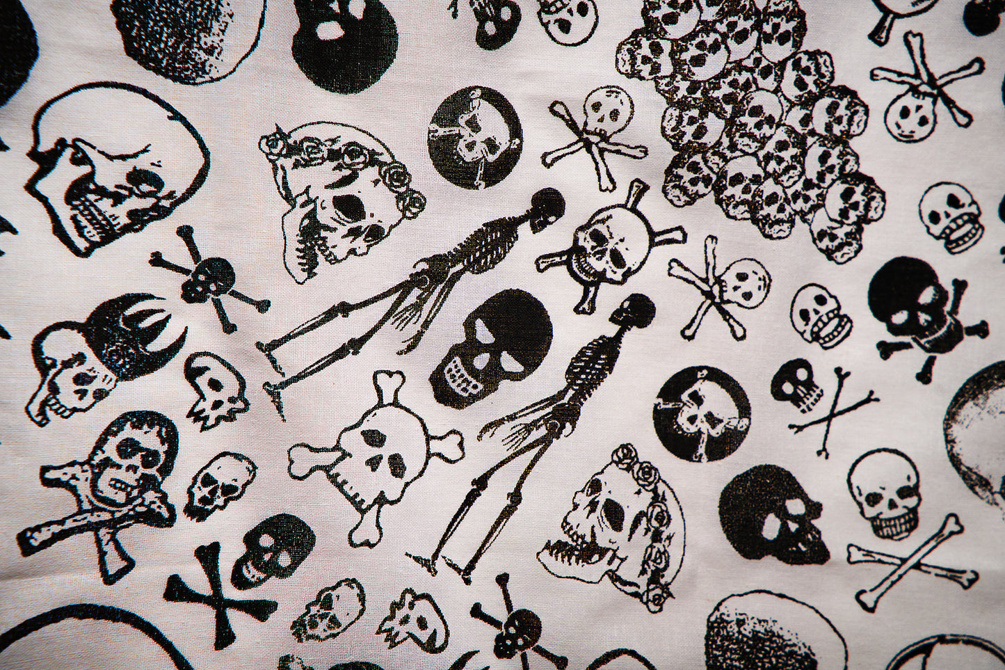 Skulls Bandana