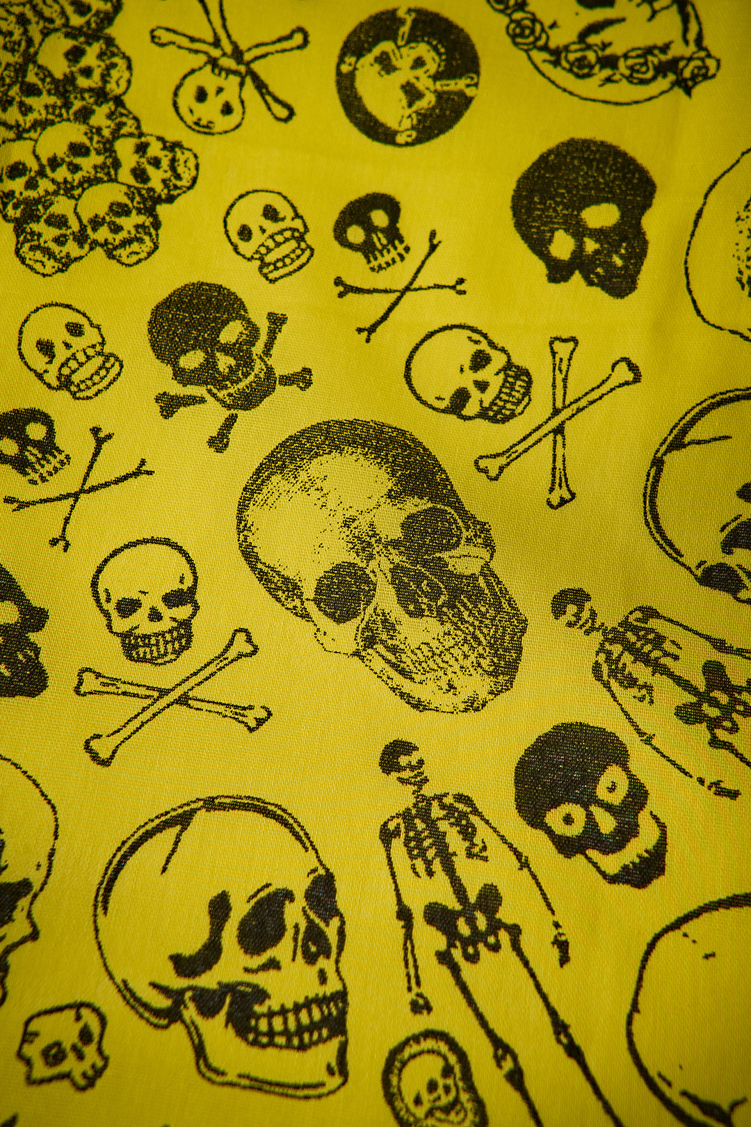 Skulls Bandana